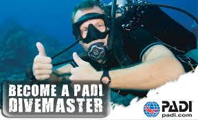 Divemaster course